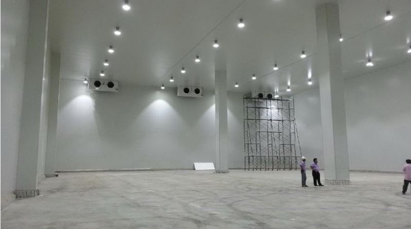 Industrial Retrofit Lamp Fixture 100W LED High Bay Sports Light