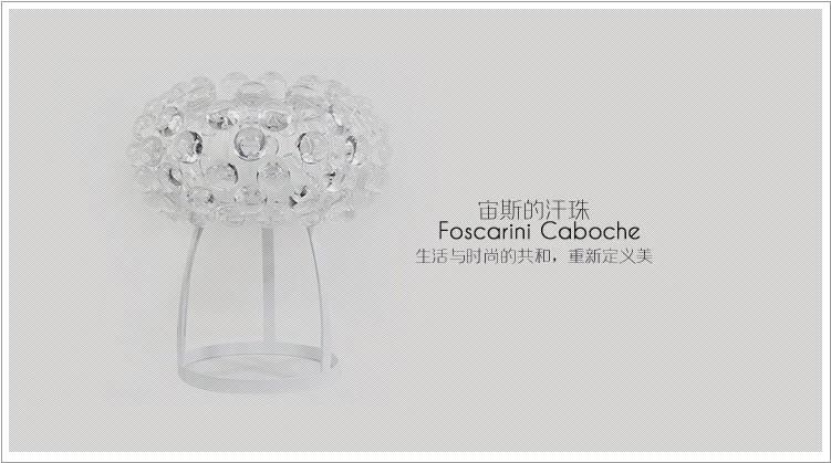 Foscarini Caboche Modern Study Restaurant Living Room Table Lamp (WH-MTB-187)