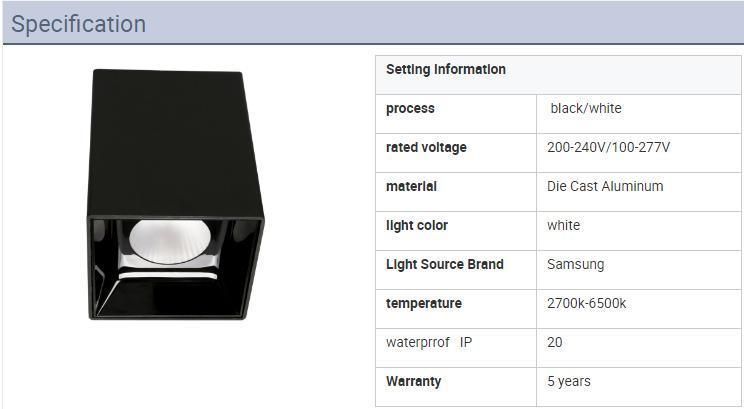 High Lumens 10W COB LED Surface Mounted Downlight