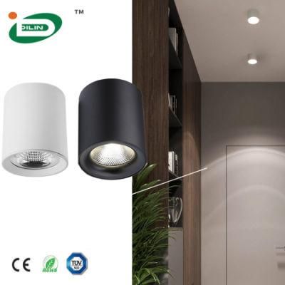 Pendent Surface Downlight COB 20W 35W Mouted LED Ceiling Lamp for Shop Mall