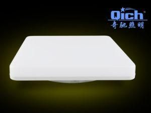 18W IP 54 Ceiling Light