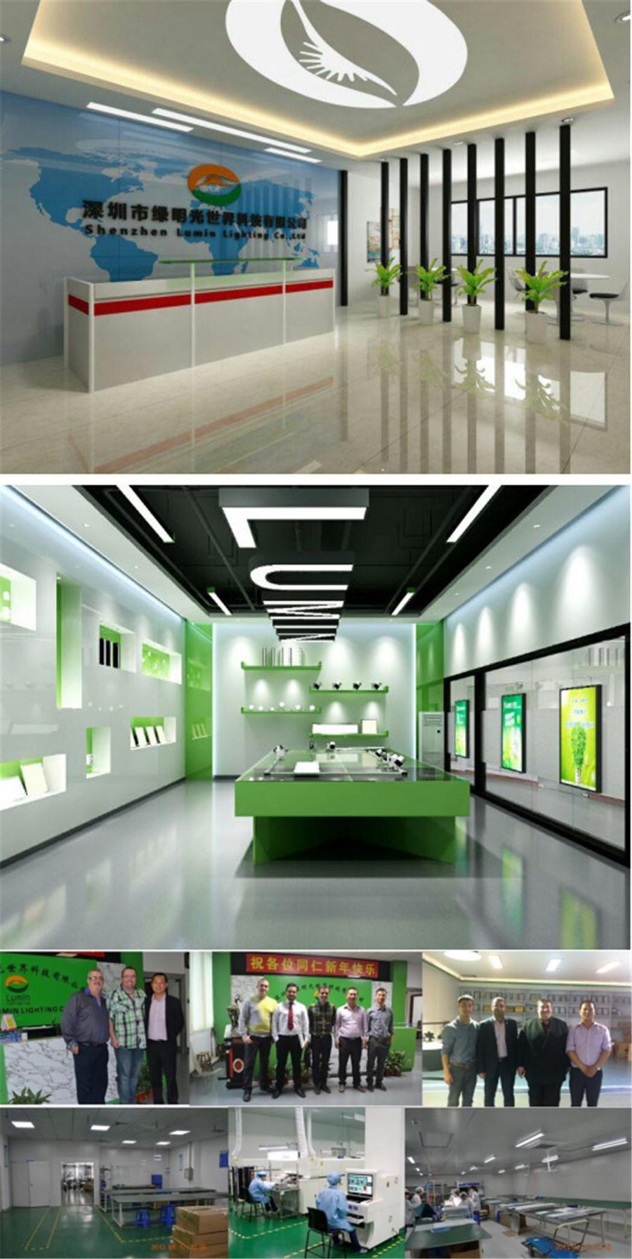 Shenzhen Factory 1.8m 2.4m 60W 6000K LED Linear Pendant Light