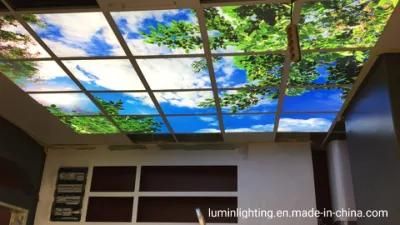 Blue Sky Panel Light 595*595mm for Nursing Home