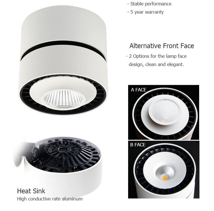 LED Recessed Down Lights 10W 12W 20W 25W Smart Ceiling Lights for Living Room