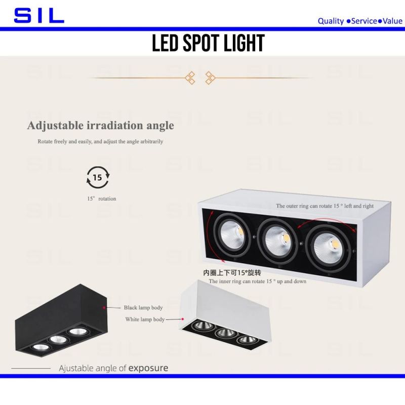 Ceiling Recessed Commercial Downlight Square 2X15W Spotlight LED Spot Light
