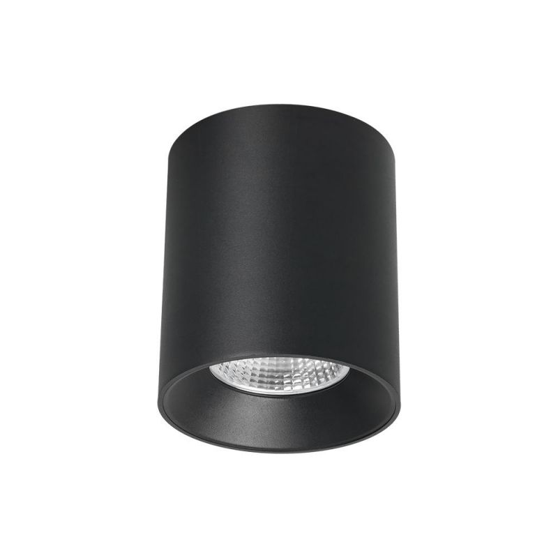 Surface Mounted Ceiling Lighting Adjustable 2*10W Warm White LED Track Light
