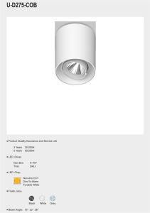 Adjustable Surface Cylider LED Down Light