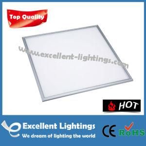 36W LED Panel Light Factory LED Panel 600X600