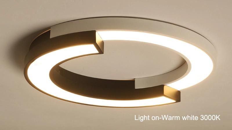 Lamparas De Techo Modern Decorative LED Room Ceiling Light Acrylic Lamp