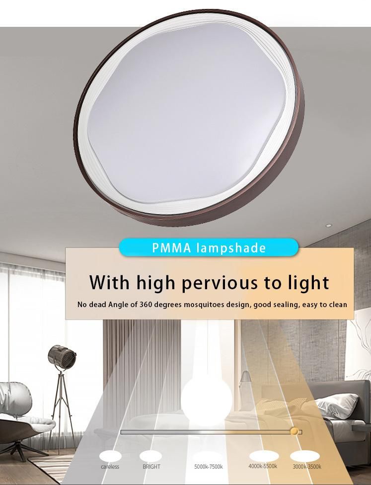 Decorative Bedroom High 12V Interior Energy Minimalist Ceiling Light