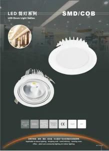 LED Downlight (white SMD, big COB downlight)