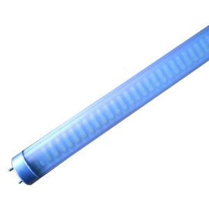 LED Fluorescent Tube (T10)