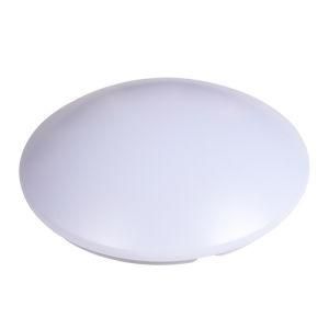 White LED Ceiling Lamp (SMR20-18W)