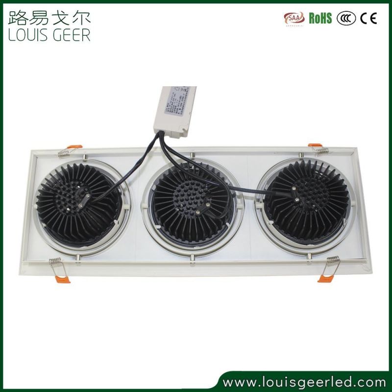 Anti-Glare 36W LED Light Bulbs Fixed LED Downlight for Shops Hotels Living Room