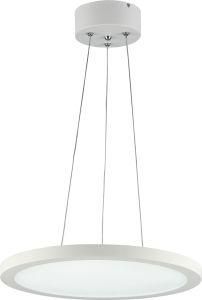 LED High Lumen Output Hanging Panel Light (30-48W)