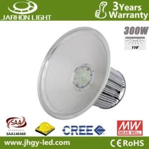 300W Warm White CREE Chip Meanwell Driver LED Industrial Lamp