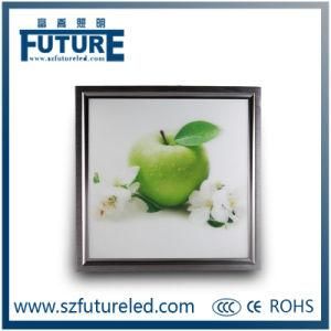 Square 300X300mm LED Lighting Apple Ceiling Light