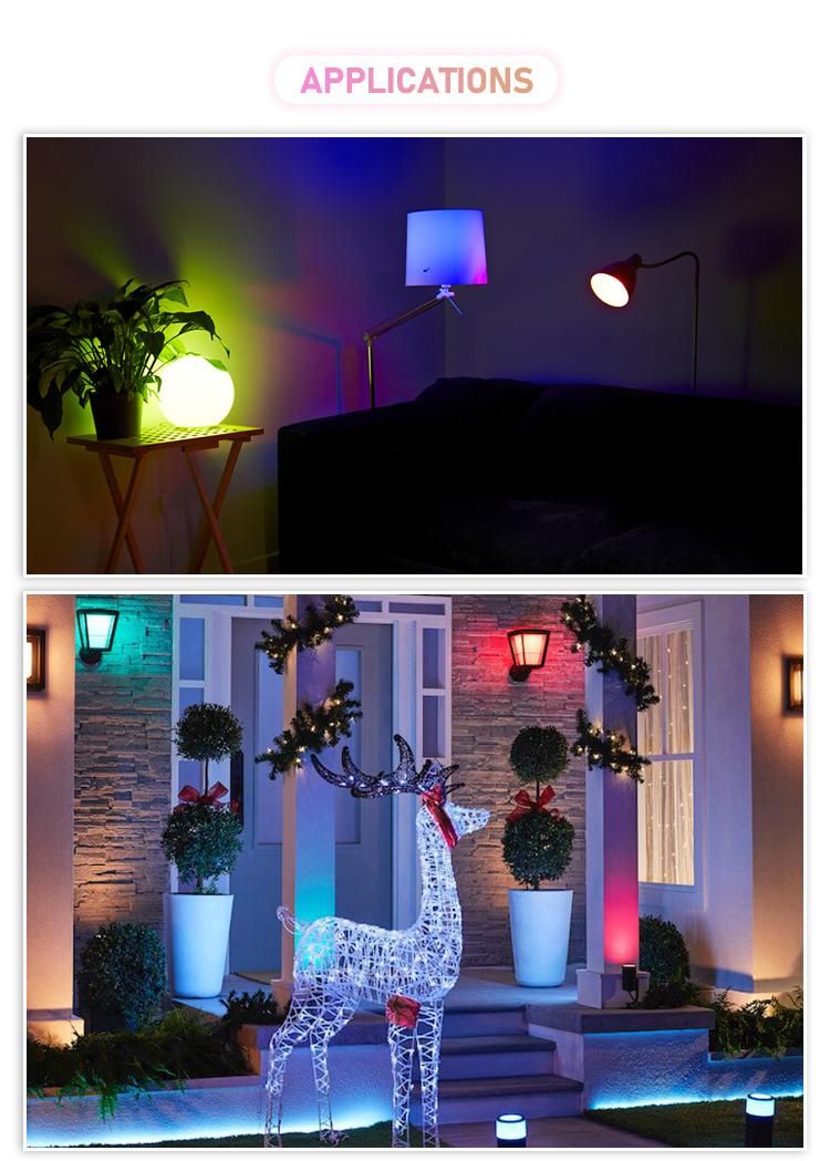 China Supplier Multi-Function Cx Lighting Alexa/Tuya/Homekit LED WiFi Smart Light