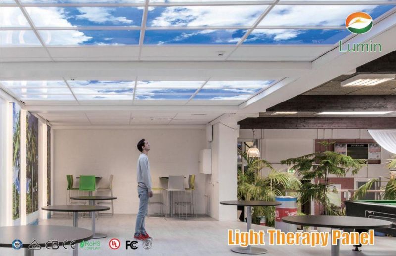Skylight Picture Customized LED Panel Light for Health Recovery Centre Rehabilitation Centre