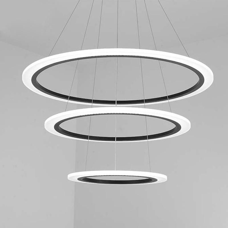 2022 Dining Room Modern Decorative Circle Lamps LED Pendant Light