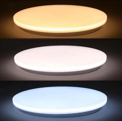 Decorative LED Apple Cover Ceiling Lights 12W with Customed Size and Waterproofing Grade