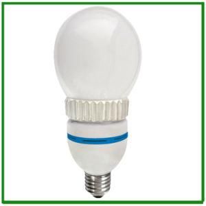 Self Ballast Globe Light Bulbs Electrodeless Induction Lamp 30W