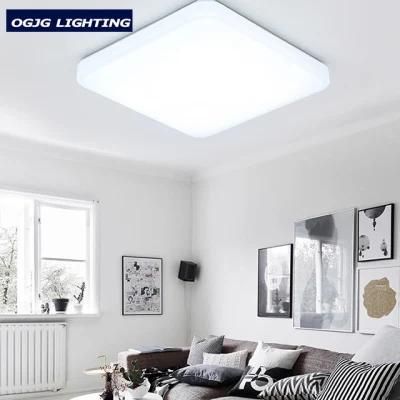 Commercial Modern Energy Saving Indoor LED Ceiling Lamps