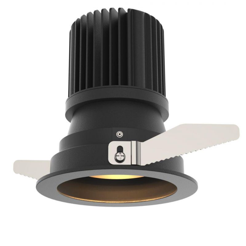 Aluminum Adjustable High Lumen 1*30W COB Recessed LED Downlight