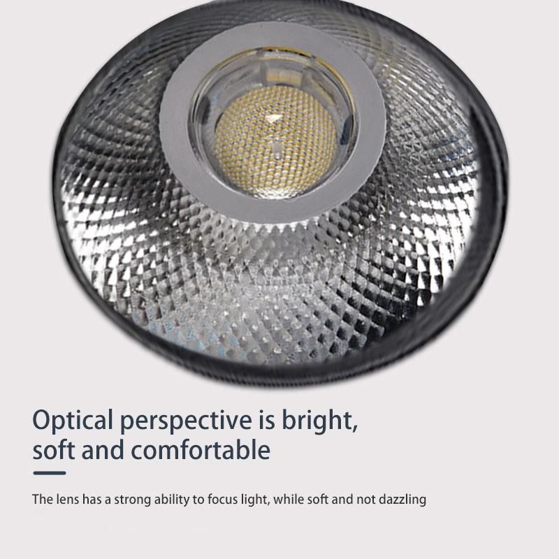 Adjustable Angle Rotating Design COB LED Focus Spot Track Rail Light LED Spotlight