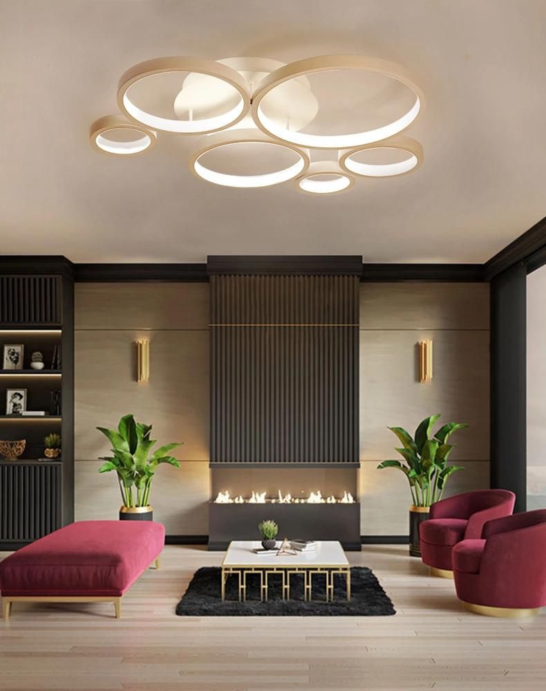 Modern Indoor LED Ceiling Lamp for Bedroom, Living Room