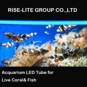 T8 LED Aquarium LED Tube Fish &amp; Colar Tube