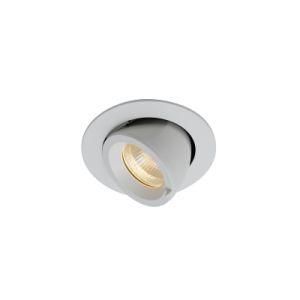 Wall Washer LED Downlight