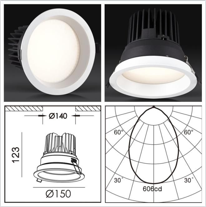 Directly From Factory with Competitive Price COB Ceiling Light LED Down Light