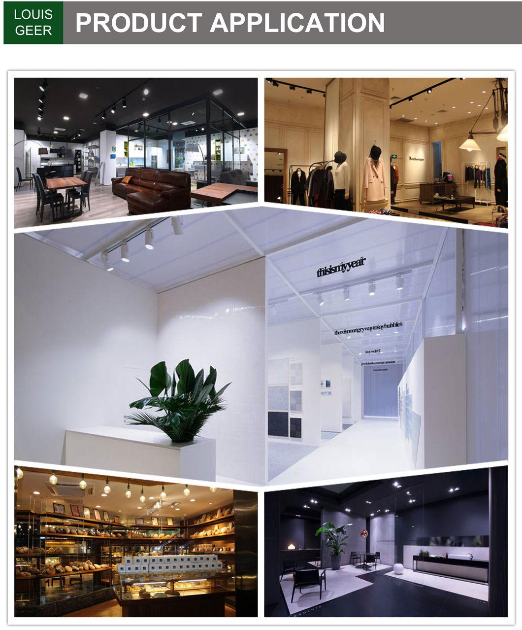 Surface Mounted LED Bulbs Wall Ceiling Fixtures 20W COB LED Track Light for Hotel Office