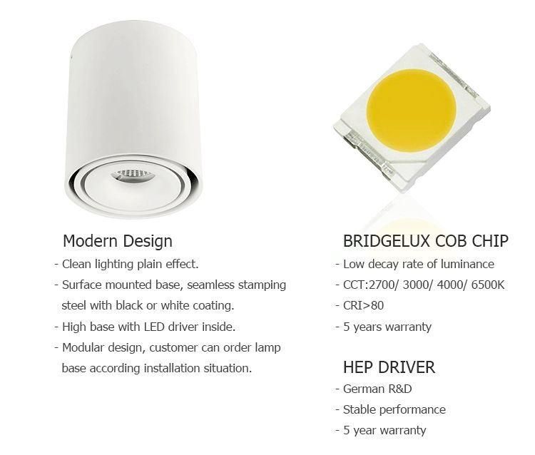Factory Wholesale Round Aluminum COB Lighting 10W LED Surface Mounted Downlights Indoor Modern Smart LED Ceiling Spot Lights
