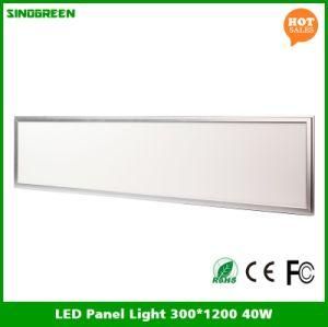 Hot Sales LED Panel Light Ce RoHS 300*1200 40W