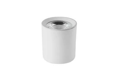 Aluminum LED 15W LED COB White and Black Ceiling Indoor Lighting Downlight