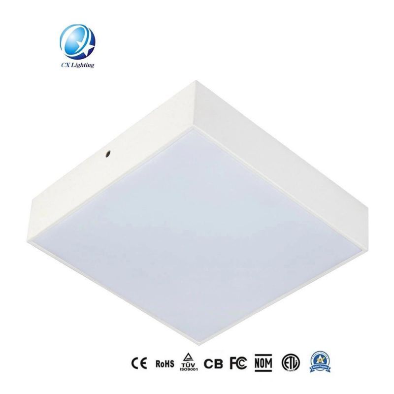 Series Rimless LED Surface Mounted Down Light