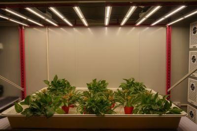 640W LED Grow Light ETL/Dlc/CE