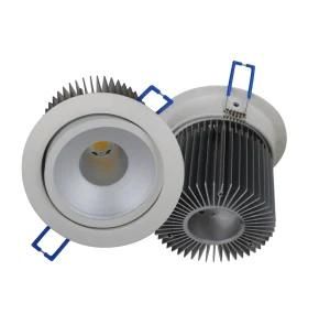2.5 Inch Adjustable LED Recessed Down Light