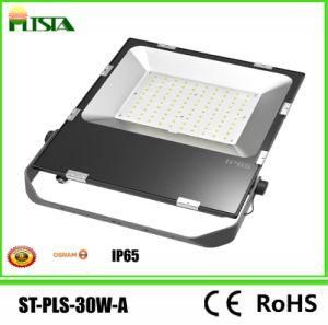 Orsam 100W Hv Driverless LED Landscape Floodlight