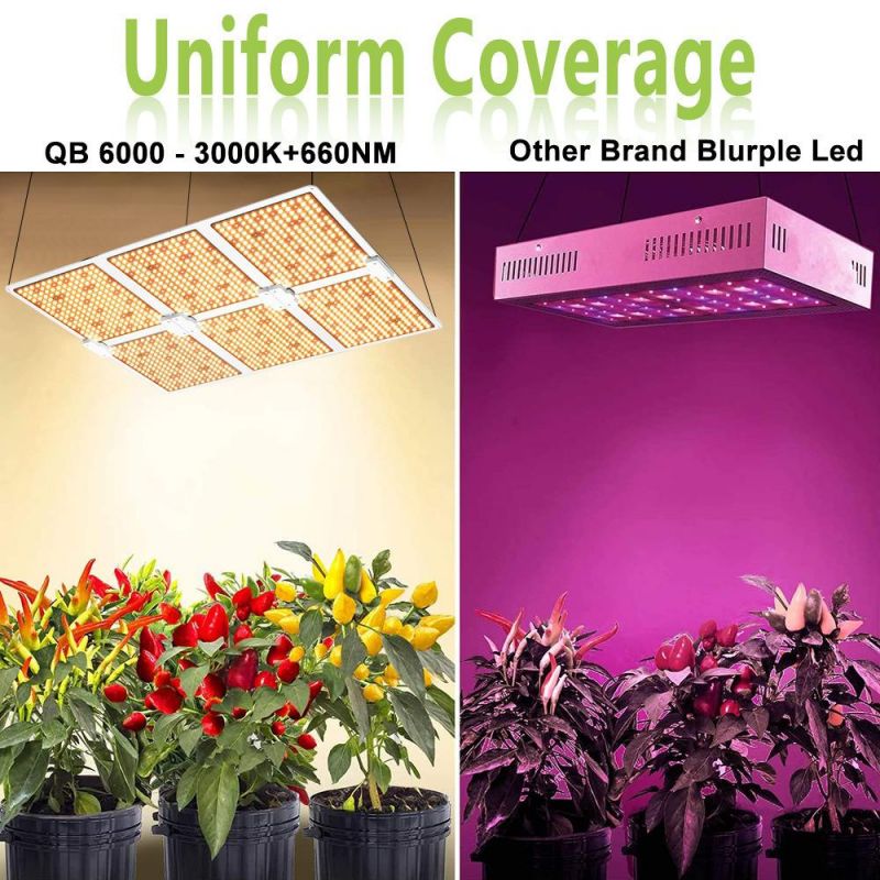 200W Quantum Panel LED Grow Light for Indoor Plants Full Spectrum