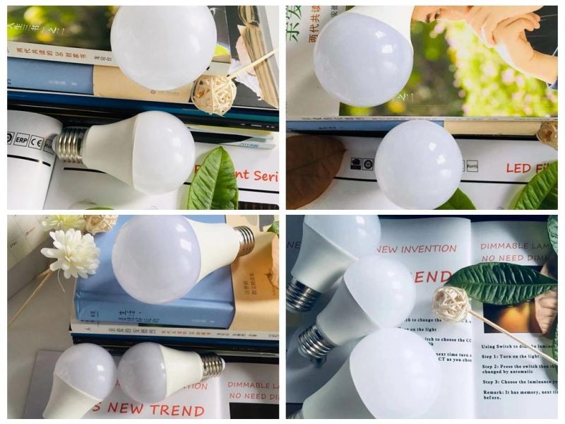 LED Bulb Light Global Lamp SMD 2835 5W E27 A55 Plastic Aluminum LED Light Bulb Lamp ERP CE Approval for Indoor Lighting