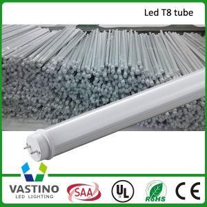 TUV SAA Approved T8 LED Tube with Lumen 1900lm