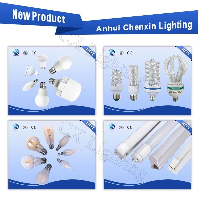 Energy Saving Lamps LED Filament Light Bulb St64 8W E27/B22 960lm