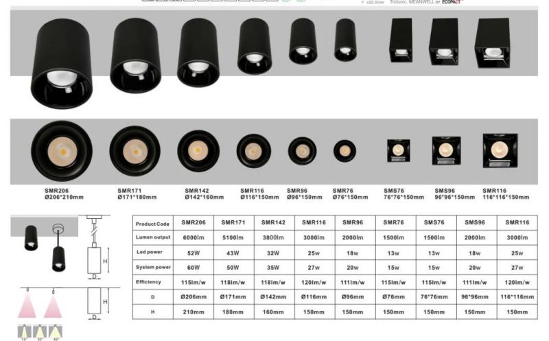 Surface Mounting Module LED Downlight Smx2a CCT 2700K-6500K