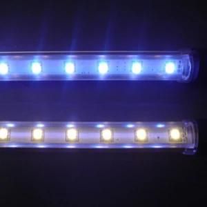 LED Products