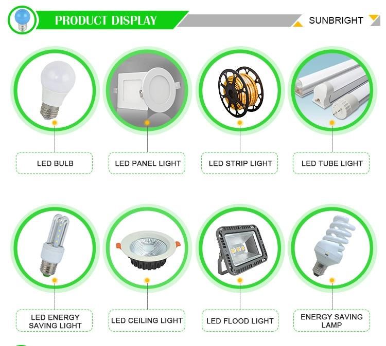 Gepsen LED Professional Lighting A19 E27 LED Global Ball Bulbs