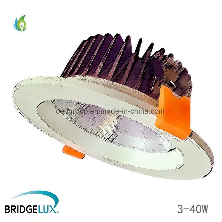 3W 5W to 40W LED Ceiling Spot Lights with Bridgelux Chip and 3 Years Warranty