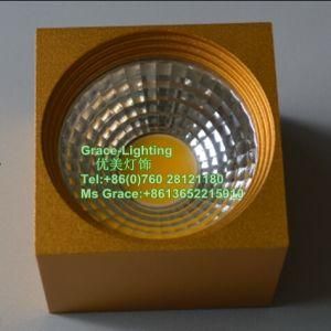 Professional LED Lighting COB Down Light LED Ceiling Lamp (GD-MZ3002-3W)